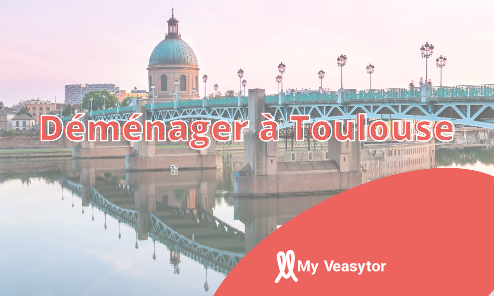 Vue du centre-ville de Toulouse avec ses bâtiments en briques roses.